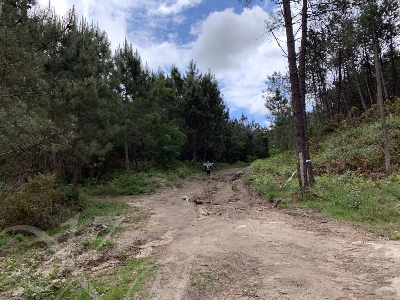 j_a5aUd018svcebg26gmtyzwg_wocx9r.png?type=e1920_std