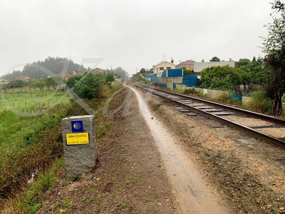 2_7a4Ud018svc11xrmacysmlmq_wocx9r.jpg?type=e1920_std