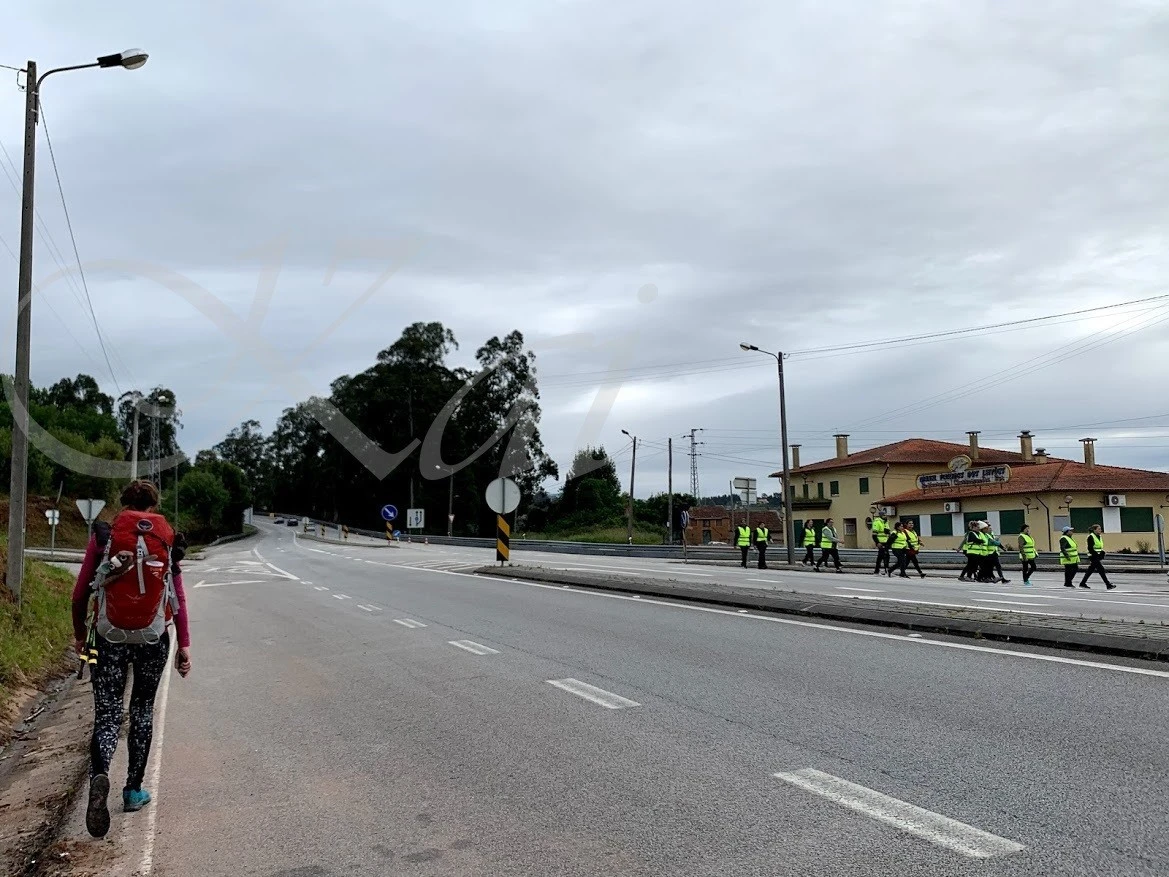 b_h35Ud018svc1m9iazain3ajo_wocx9r.jpg?type=e1920_std