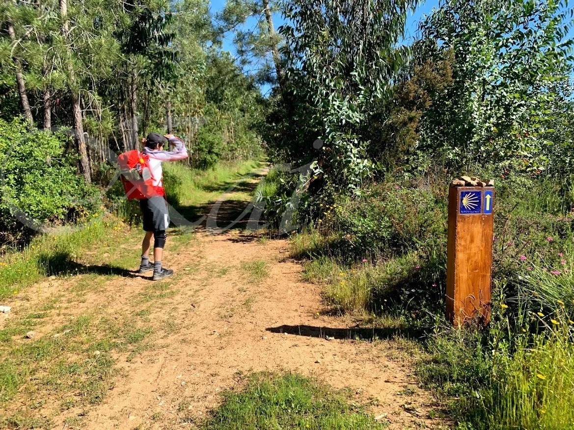 e_dc7Ud018svcggo5umlkk5yi_wocx9r.jpg?type=e1920_std