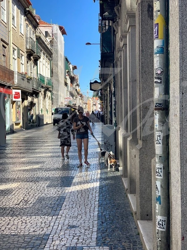 d_50eUd018svc7ev6s56xp0rr_wocx9r.jpg?type=e1920_std