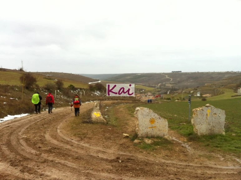 image_6788246061515607631935.jpg?type=w773