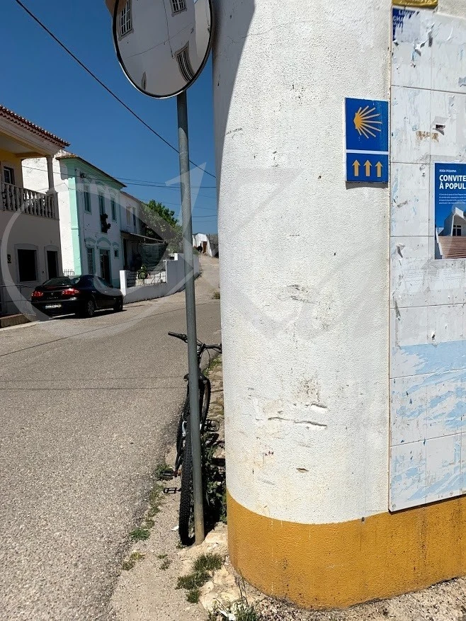 3_905Ud018svcu5syzx6rdivu_wocx9r.jpg?type=e1920_std