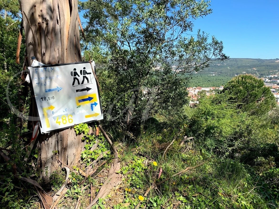 BHxYJyc7qHF0s7ICRx6HAqyImKw