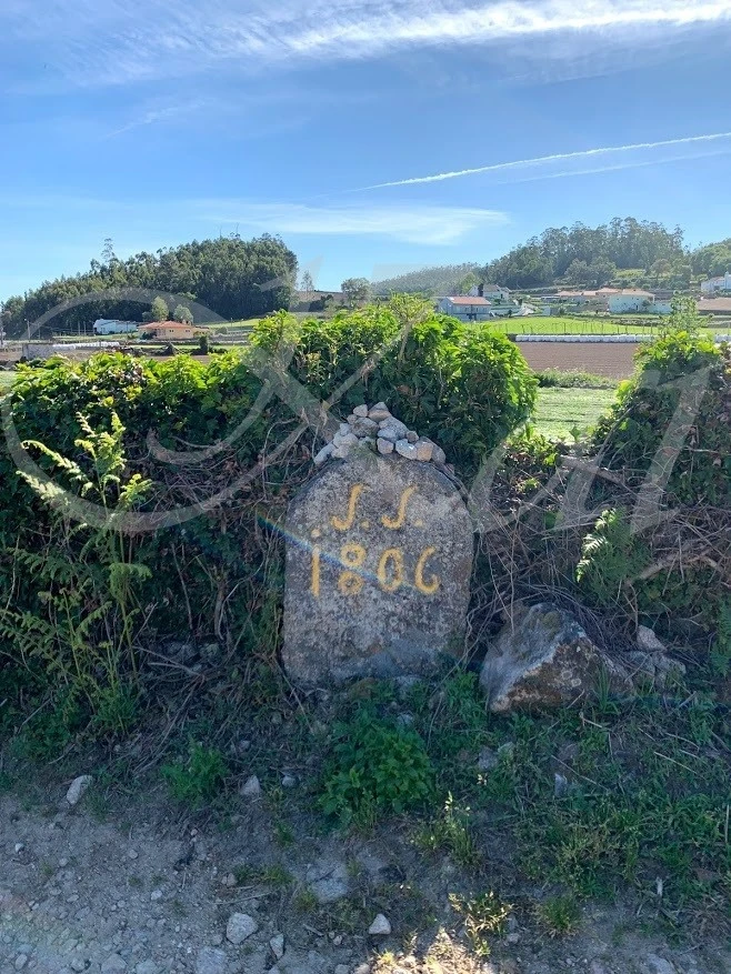 8_765Ud018svc1igf2udfrd6b1_wocx9r.jpg?type=e1920_std