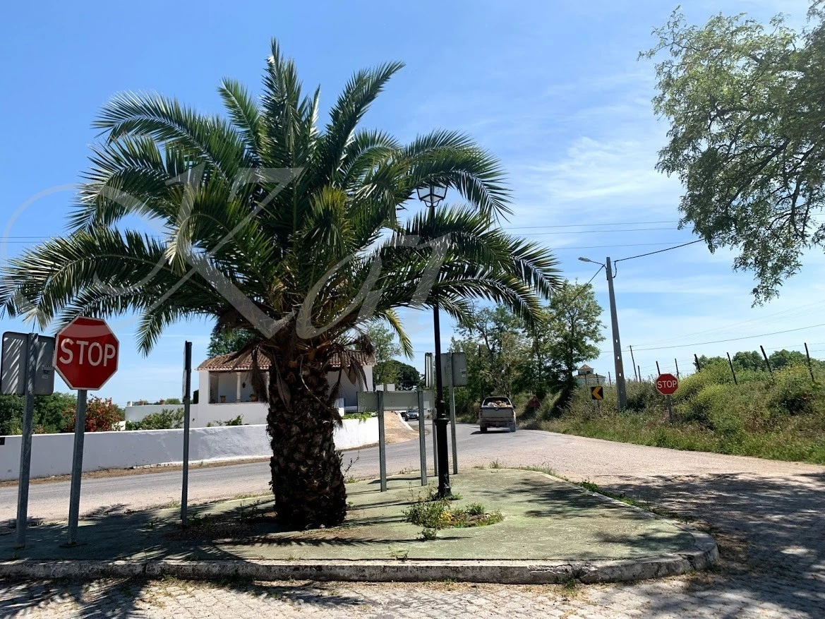 1_cc0Ud018svc1sysz3oaa9hwf_wocx9r.jpg?type=e1920_std