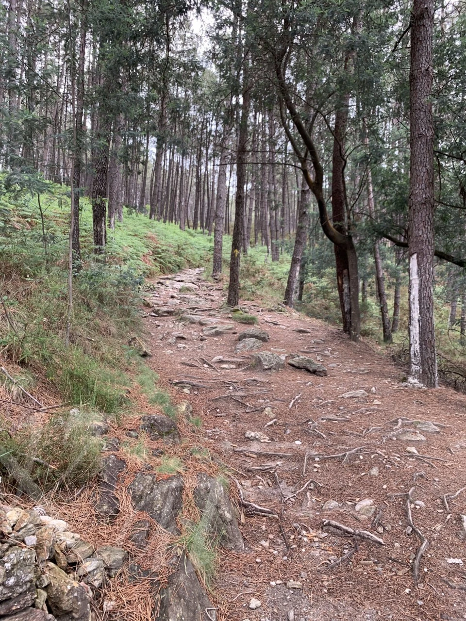 g_359Ud018svcgzxvizwyvwe3_wocx9r.png?type=e1920_std