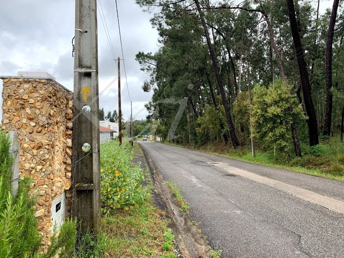 g_5fiUd018svc1d7zqodhf0609_wocx9r.jpg?type=e1920_std