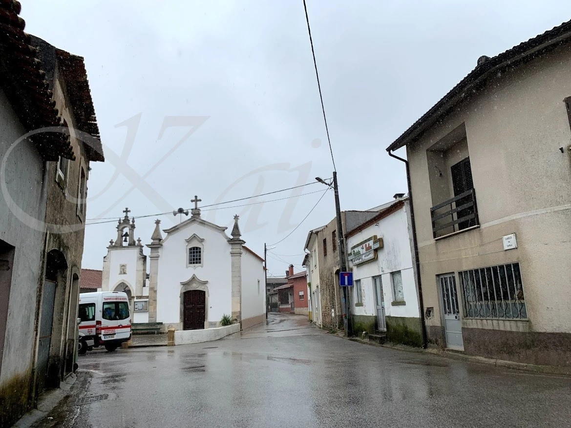 2_38dUd018svcx4bwuivh265u_wocx9r.jpg?type=e1920_std