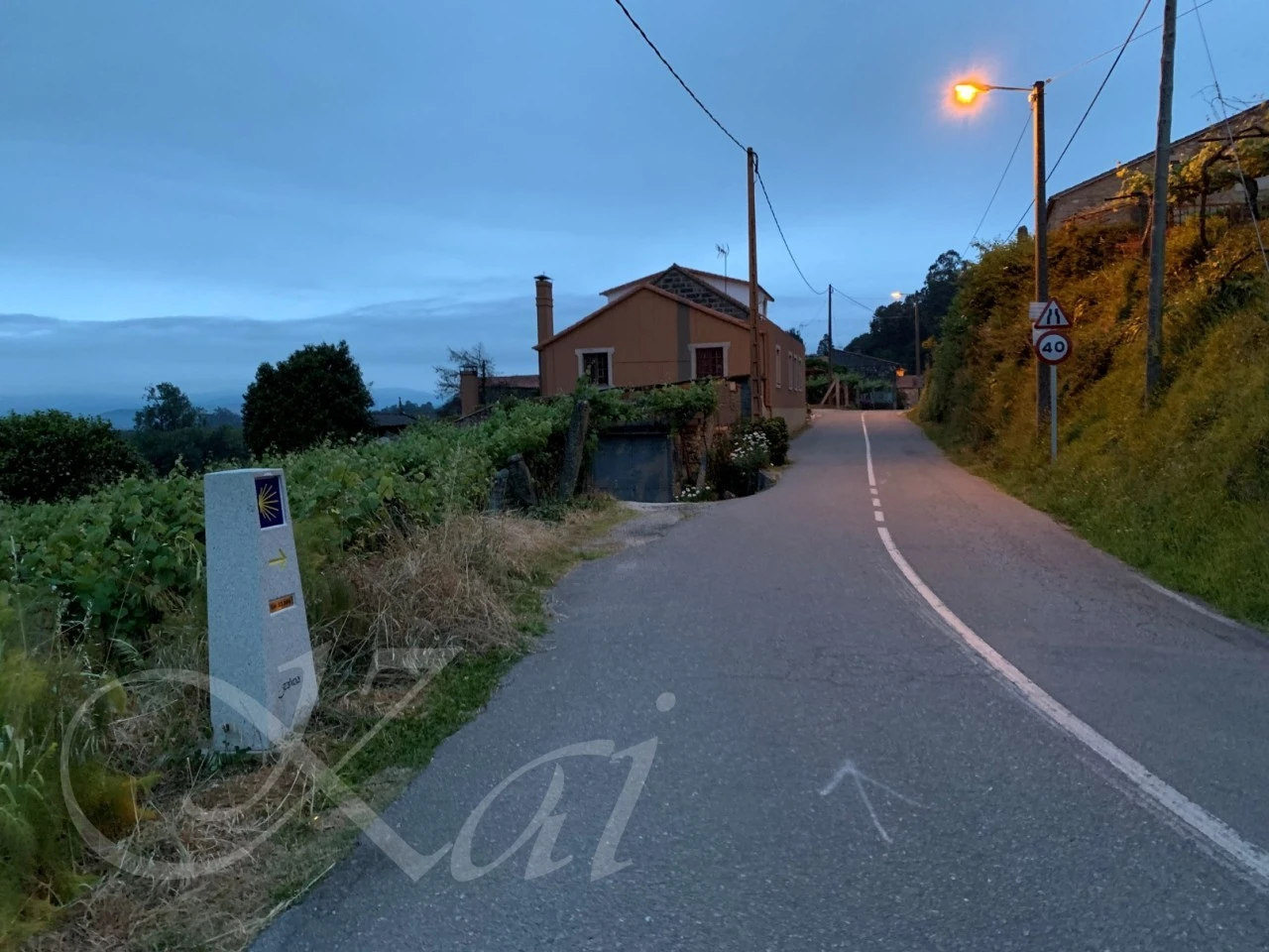 a_a6cUd018svctfq46gpcjvp_wocx9r.jpg?type=e1920_std