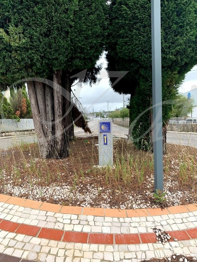 h_6fiUd018svc3oxdcg4dbm5_wocx9r.jpg?type=e1920_std