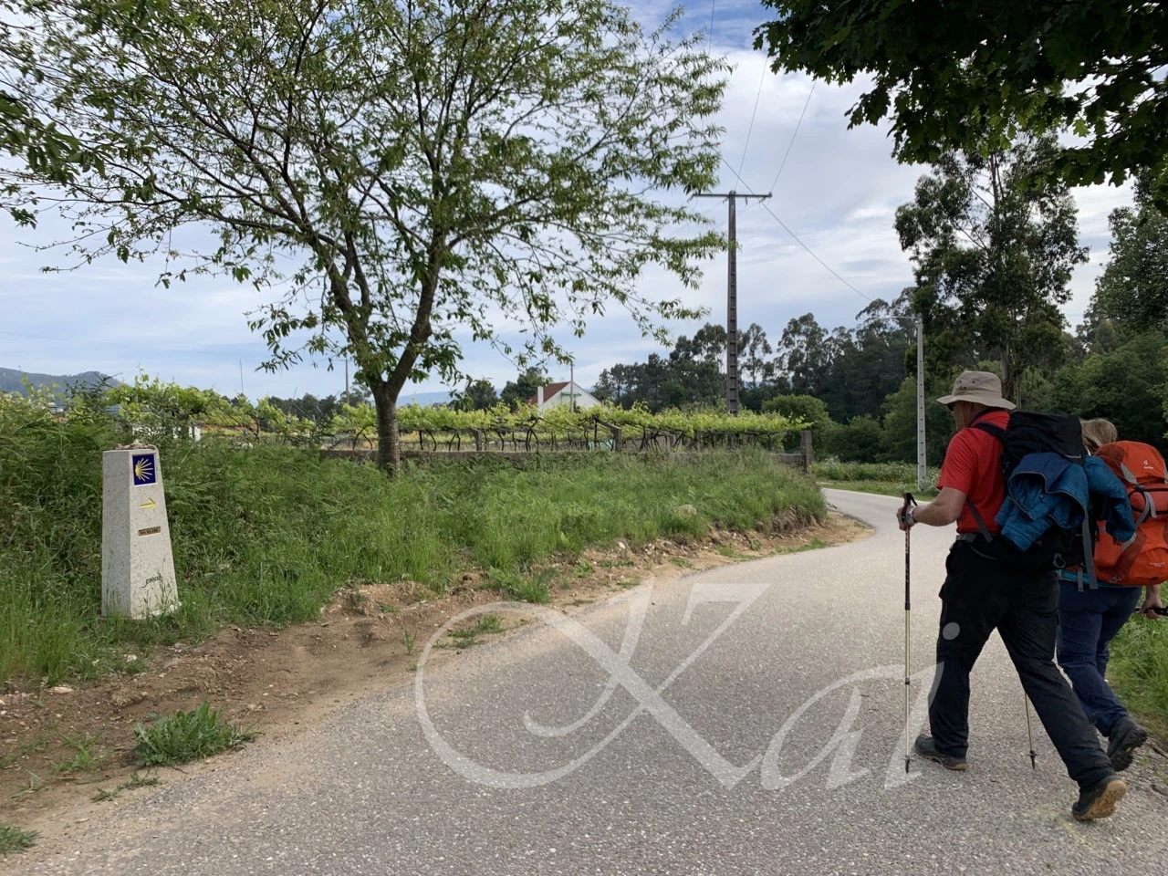 a_186Ud018svctedtcvq7powx_wocx9r.png?type=e1920_std