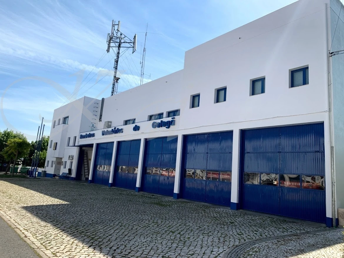 b_gc0Ud018svcxrlu200dqrt6_wocx9r.jpg?type=e1920_std