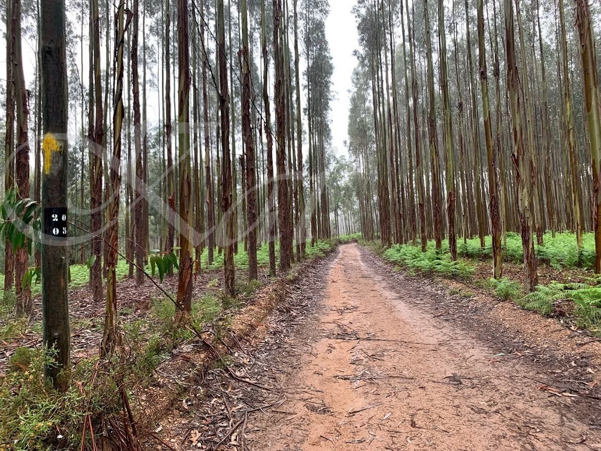 7_b2dUd018svcq7ahcjnjzp0a_wocx9r.jpg?type=e1920_std