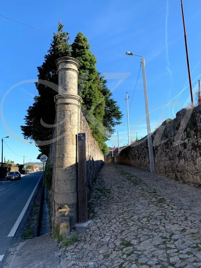 7_765Ud018svc18x4mmtvkuabv_wocx9r.jpg?type=e1920_std