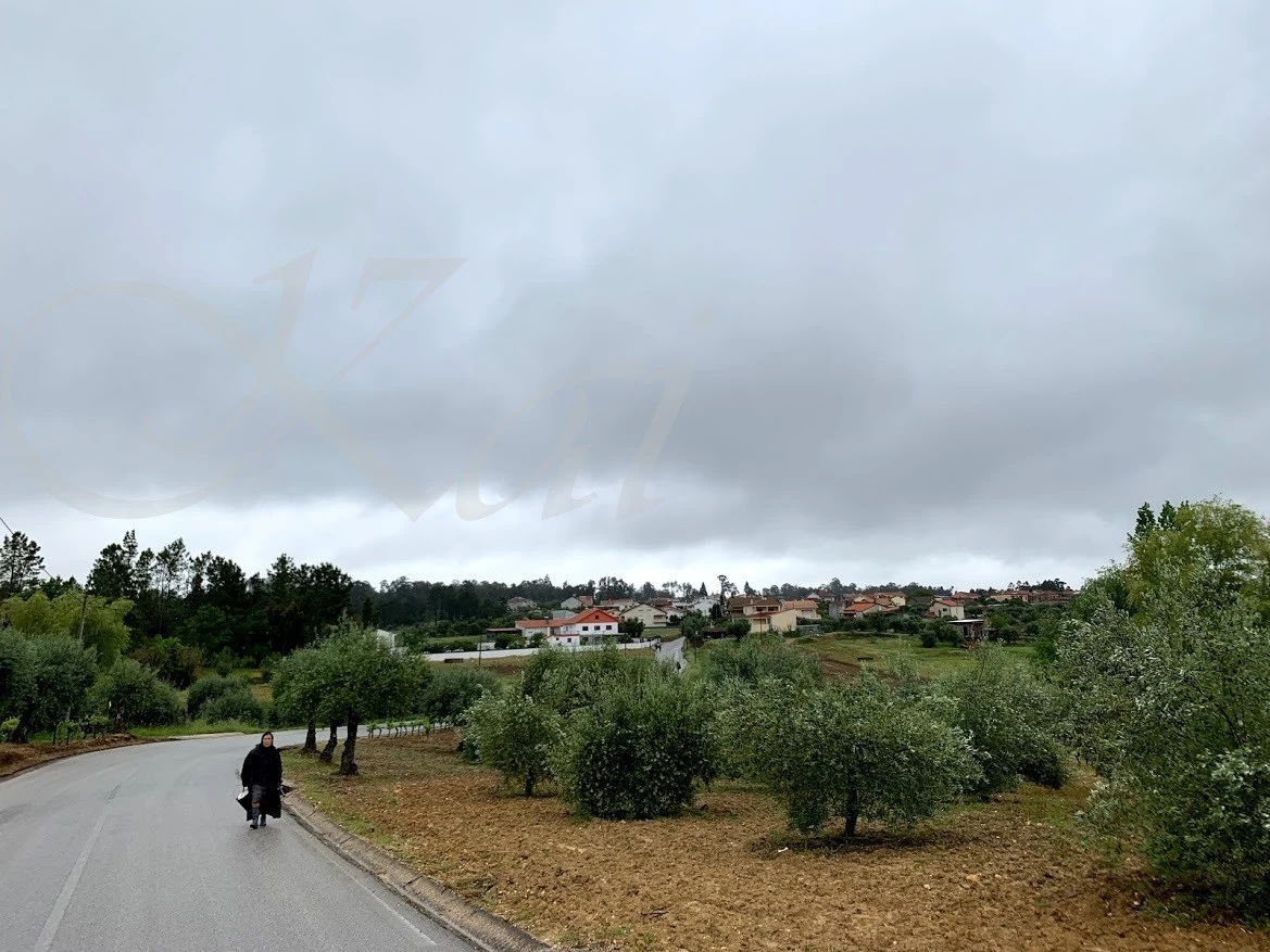 2_88dUd018svc1hw0wjdrafoeq_wocx9r.jpg?type=e1920_std