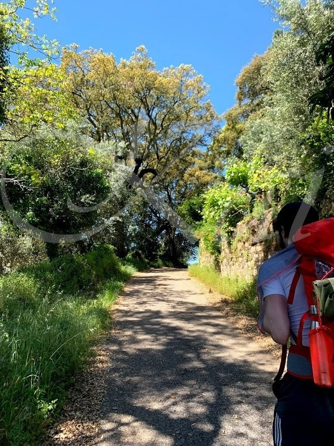 f_fc7Ud018svc1w8dgtasrssq4_wocx9r.jpg?type=e1920_std