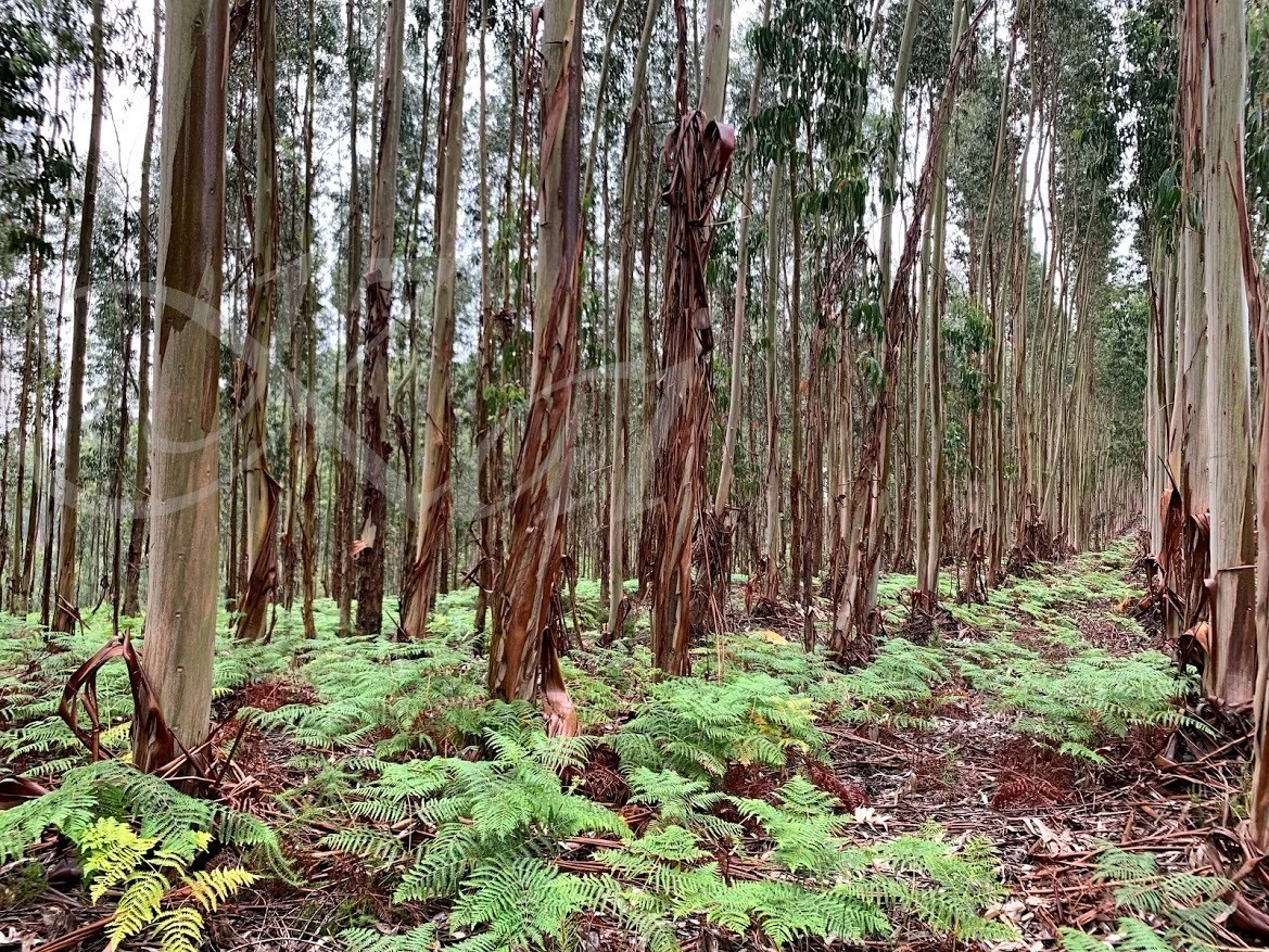 1_e8dUd018svc96hhrwvyy346_wocx9r.jpg?type=e1920_std