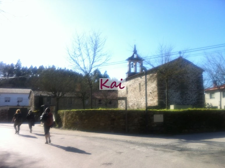 image_8540068891515607631939.jpg?type=w773