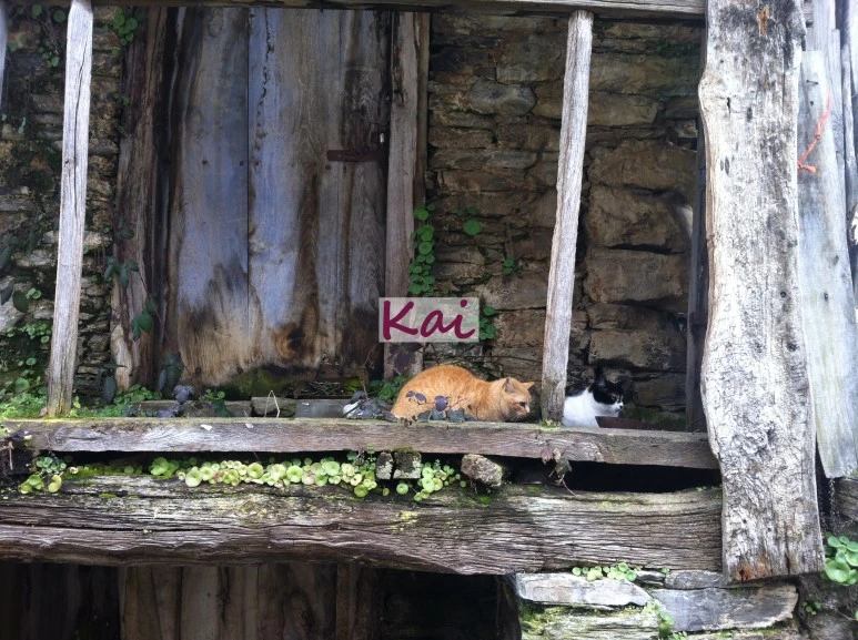 image_2523503811515607631906.jpg?type=w773