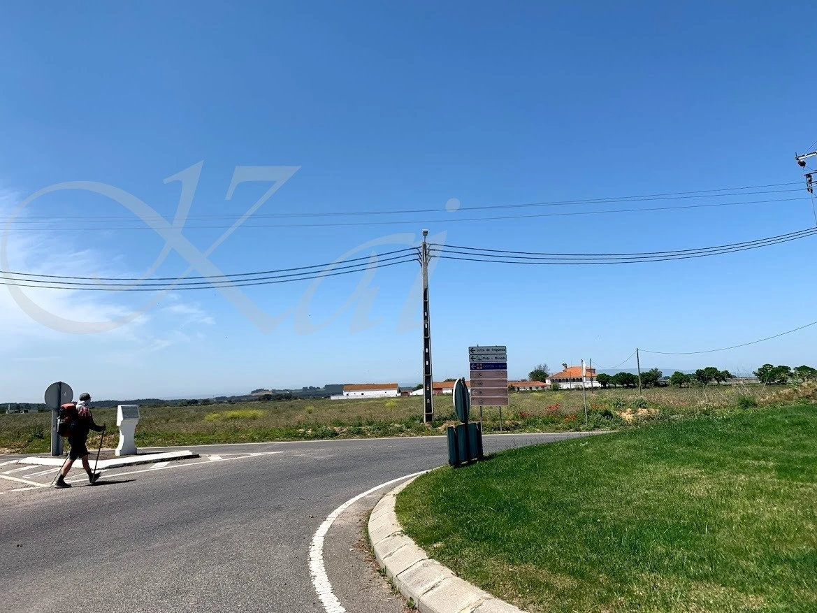 0_gc0Ud018svc1hy8pu0922ftw_wocx9r.jpg?type=e1920_std