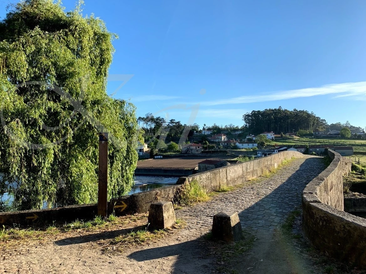 5_g65Ud018svcg5i6shapaknu_wocx9r.jpg?type=e1920_std