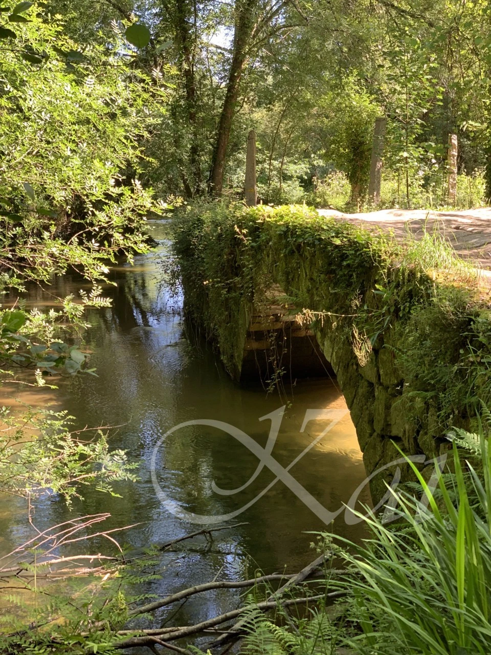 3_e9dUd018svcobqyeu89yli_wocx9r.png?type=e1920_std