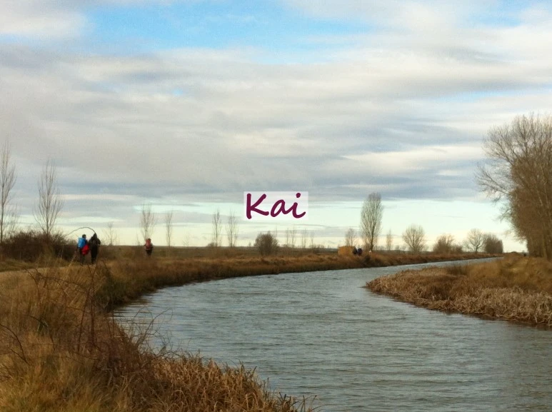 image_3372981851515607631936.jpg?type=w773