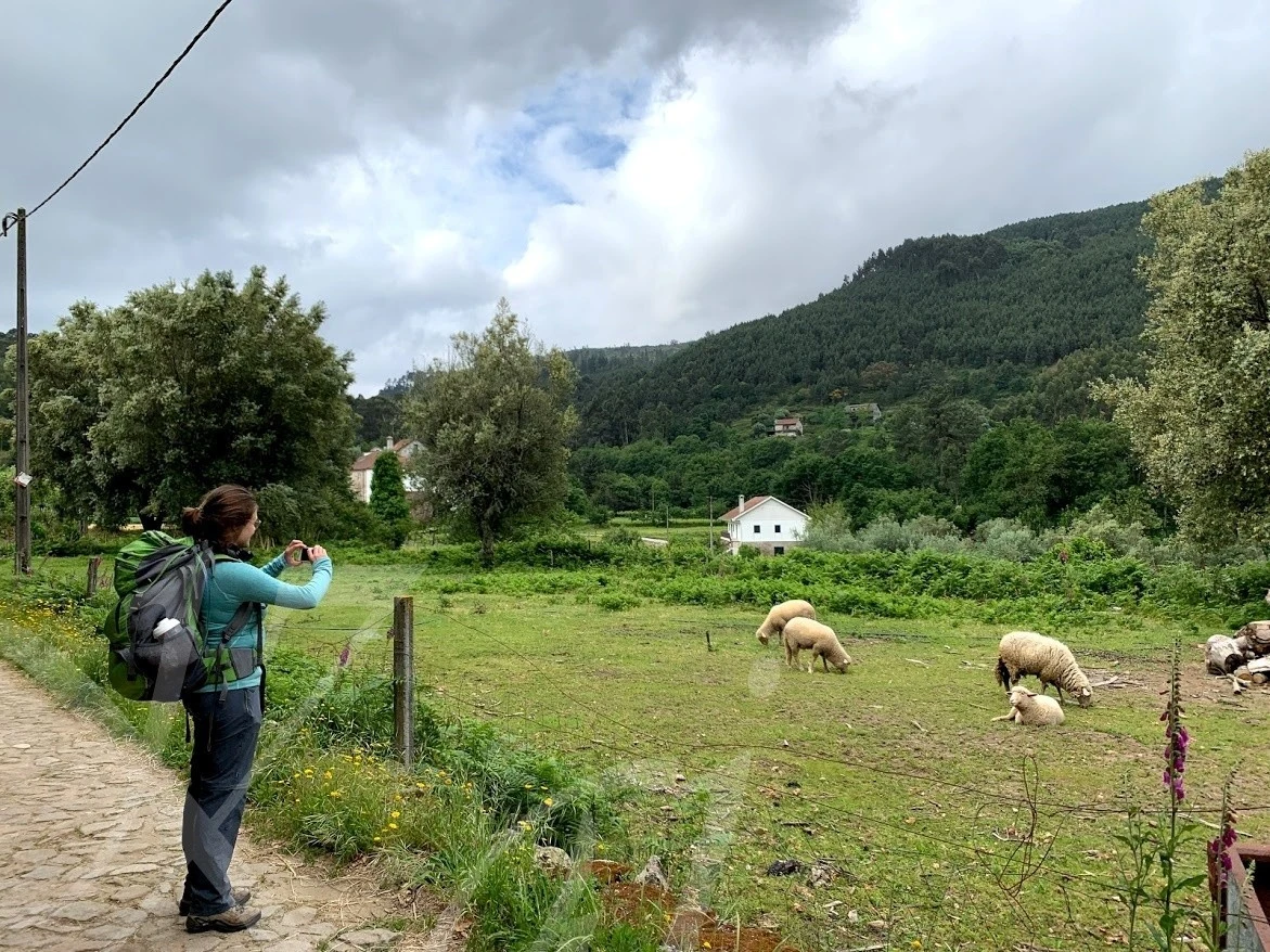 c_hdaUd018svcfened13spz9_wocx9r.jpg?type=e1920_std