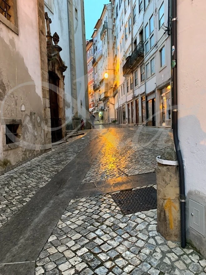 h_g8cUd018svc1cz9mr8glg7ul_wocx9r.jpg?type=e1920_std