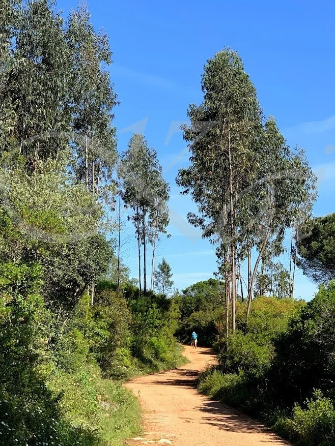 3_14jUd018svc1ufu8adnr602a_wocx9r.jpg?type=e1920_std