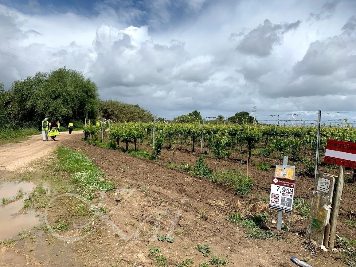 qSzvD2m8NAA_ilPOzBH0MG_D4t4