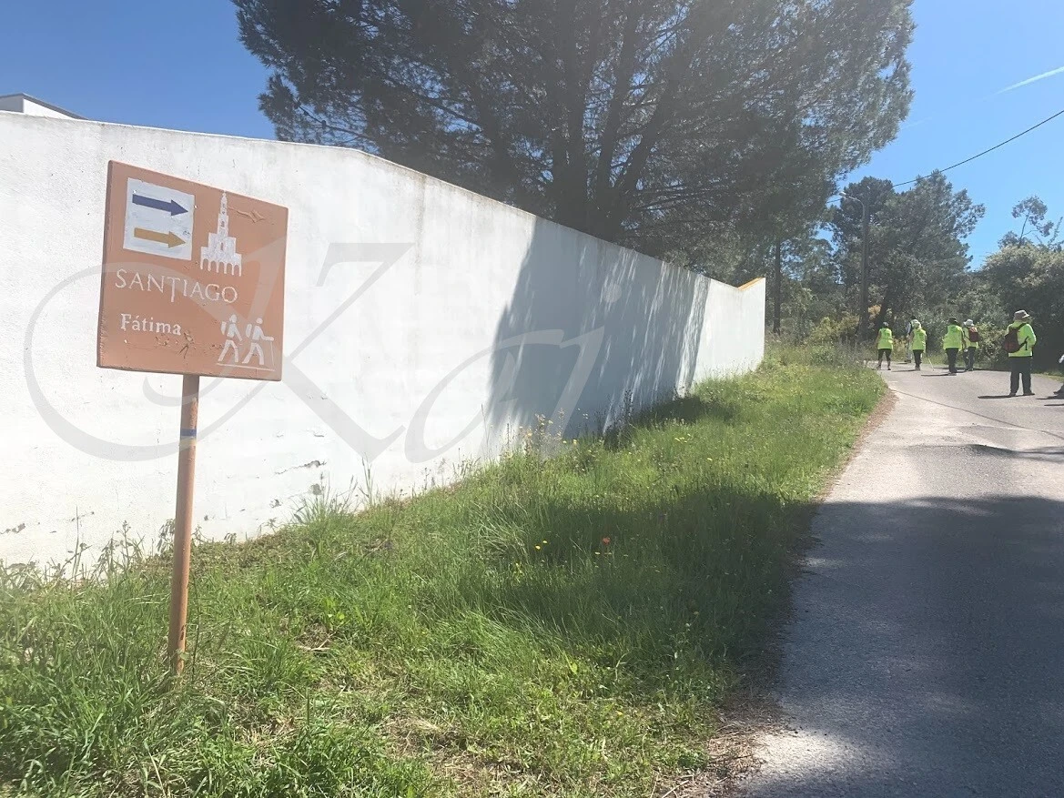 y0-t32408LrDTQdTofXh-137ls4