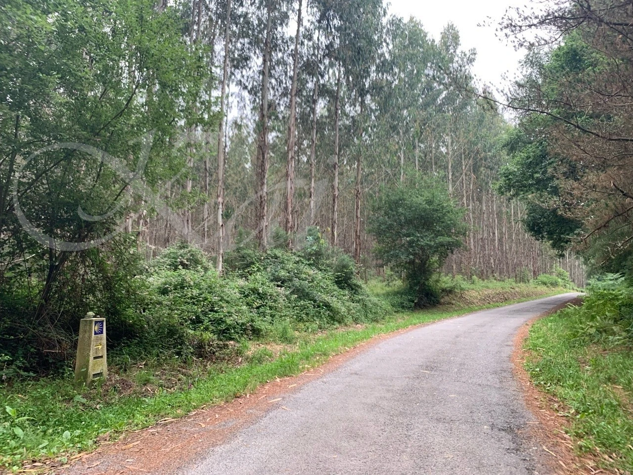 7_11iUd018svch3fq4tp6rnux_wocx9r.jpg?type=e1920_std