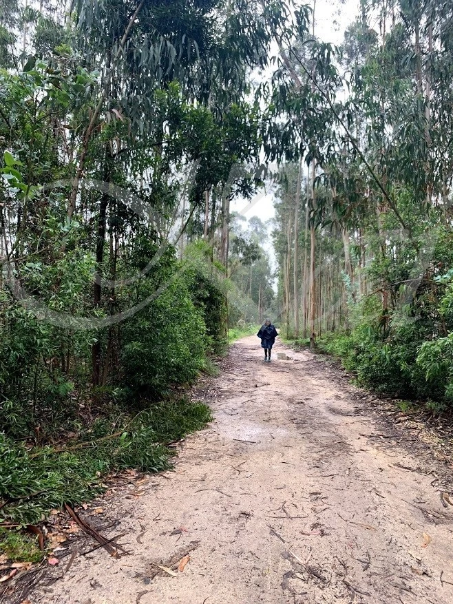 1_a8dUd018svc1o9r4swgsrwpr_wocx9r.jpg?type=e1920_std