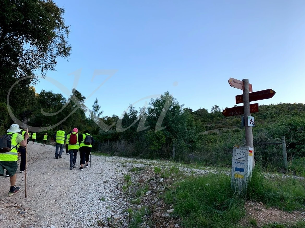 49rih2ApdMQ-dBwIQPa1VT3wT38