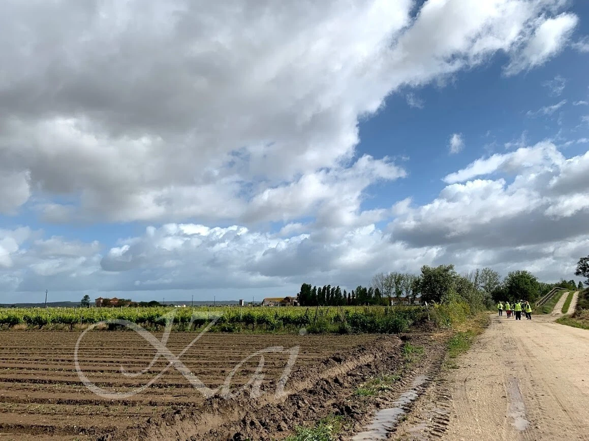 lMf84CmHCrkKgYcDpigjc4JBRGU