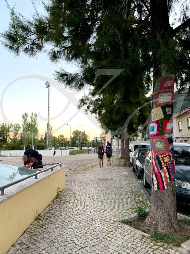 b_8c7Ud018svc192mwhtmqdpxc_wocx9r.jpg?type=e1920_std