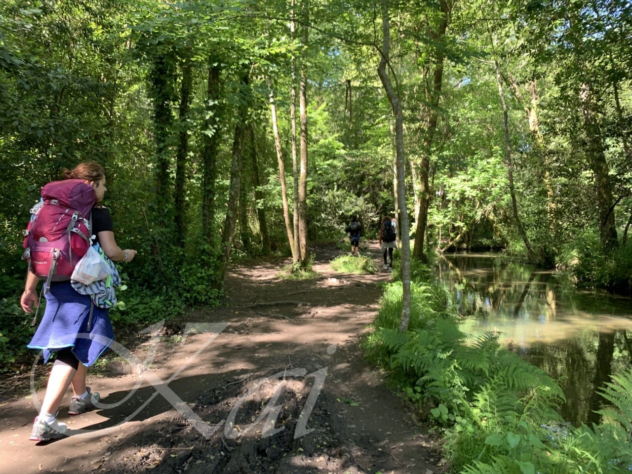 a_fd3Ud018svcuu6yslbz5gfe_wocx9r.png?type=e1920_std