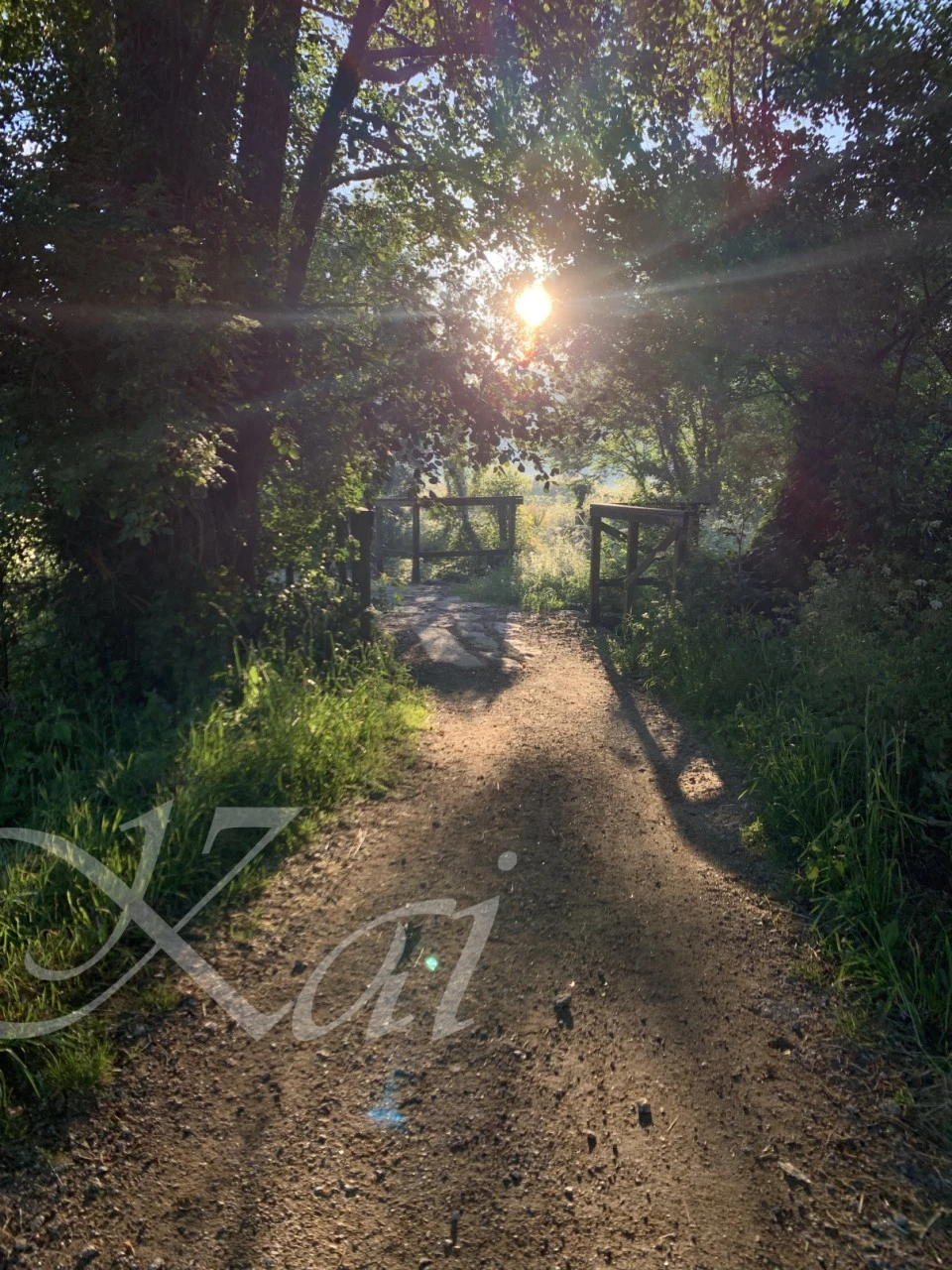 1_9geUd018svc1p0lfvvj556o0_wocx9r.png?type=e1920_std