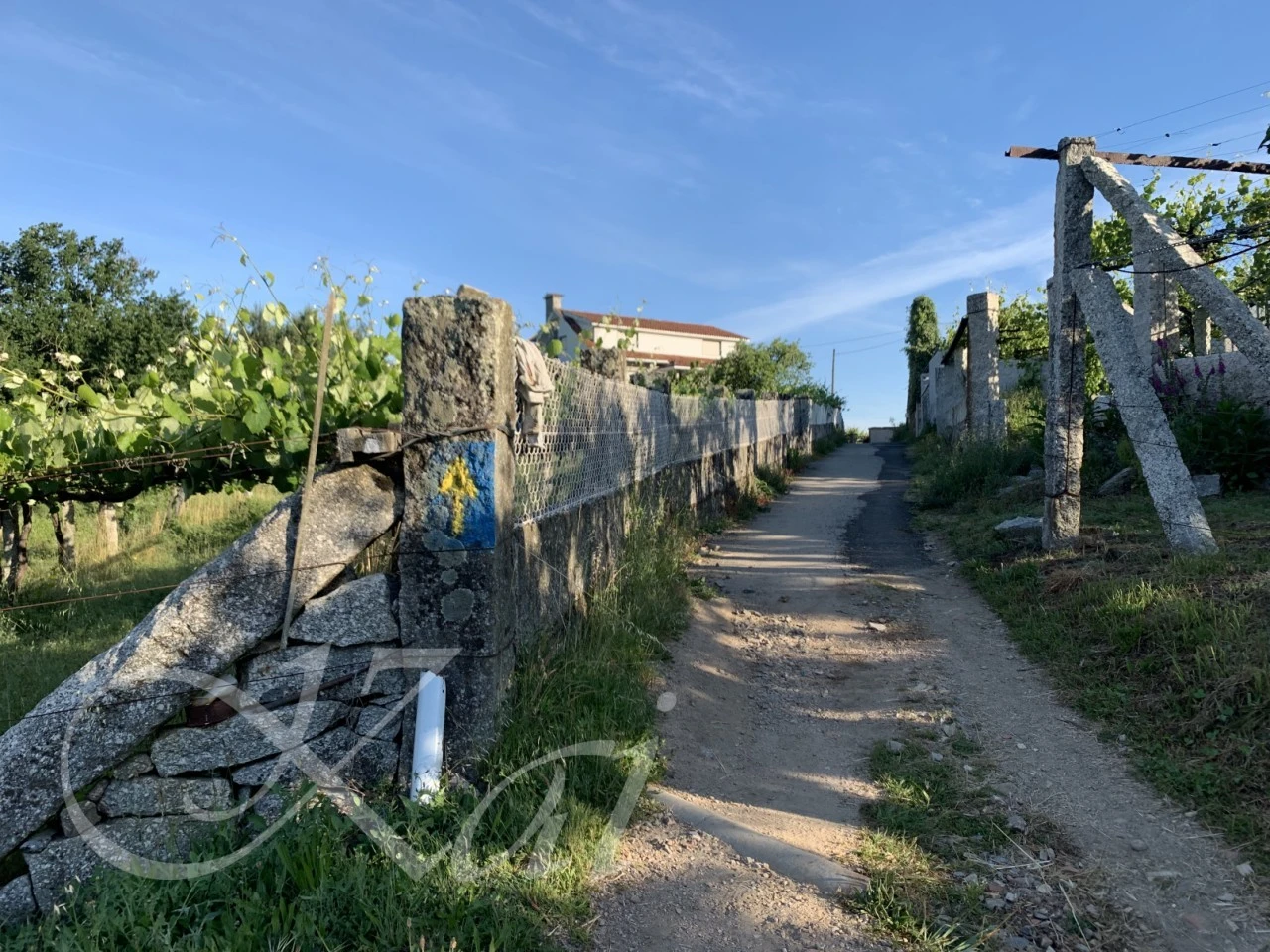 5_1geUd018svcksrjrb66a6ds_wocx9r.png?type=e1920_std