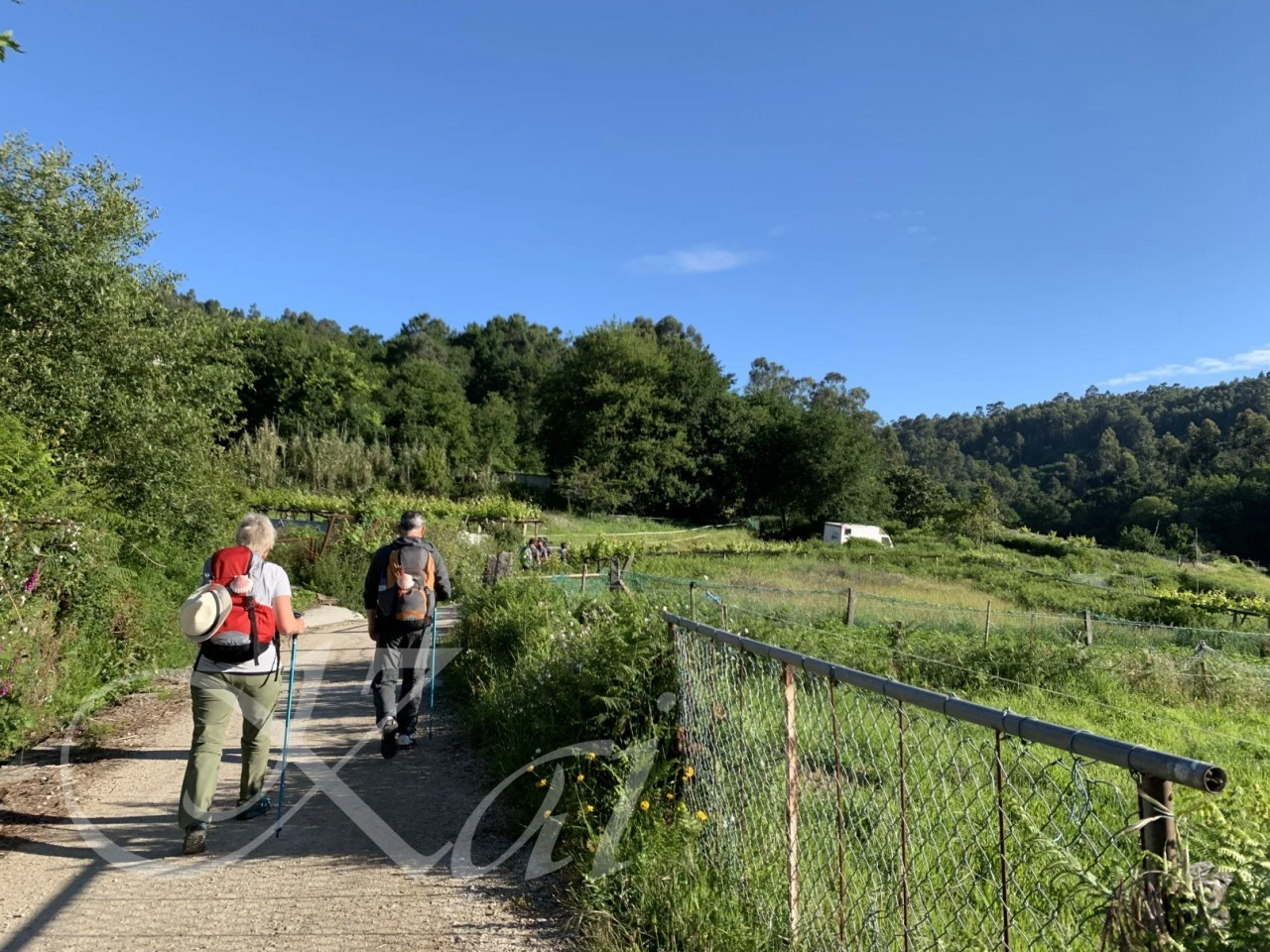 h_dd2Ud018svc1j9utc28beugw_wocx9r.png?type=e1920_std