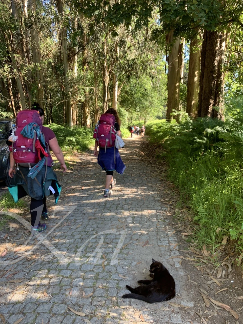 3_6d3Ud018svc1r7lw7fpbeyu6_wocx9r.png?type=e1920_std