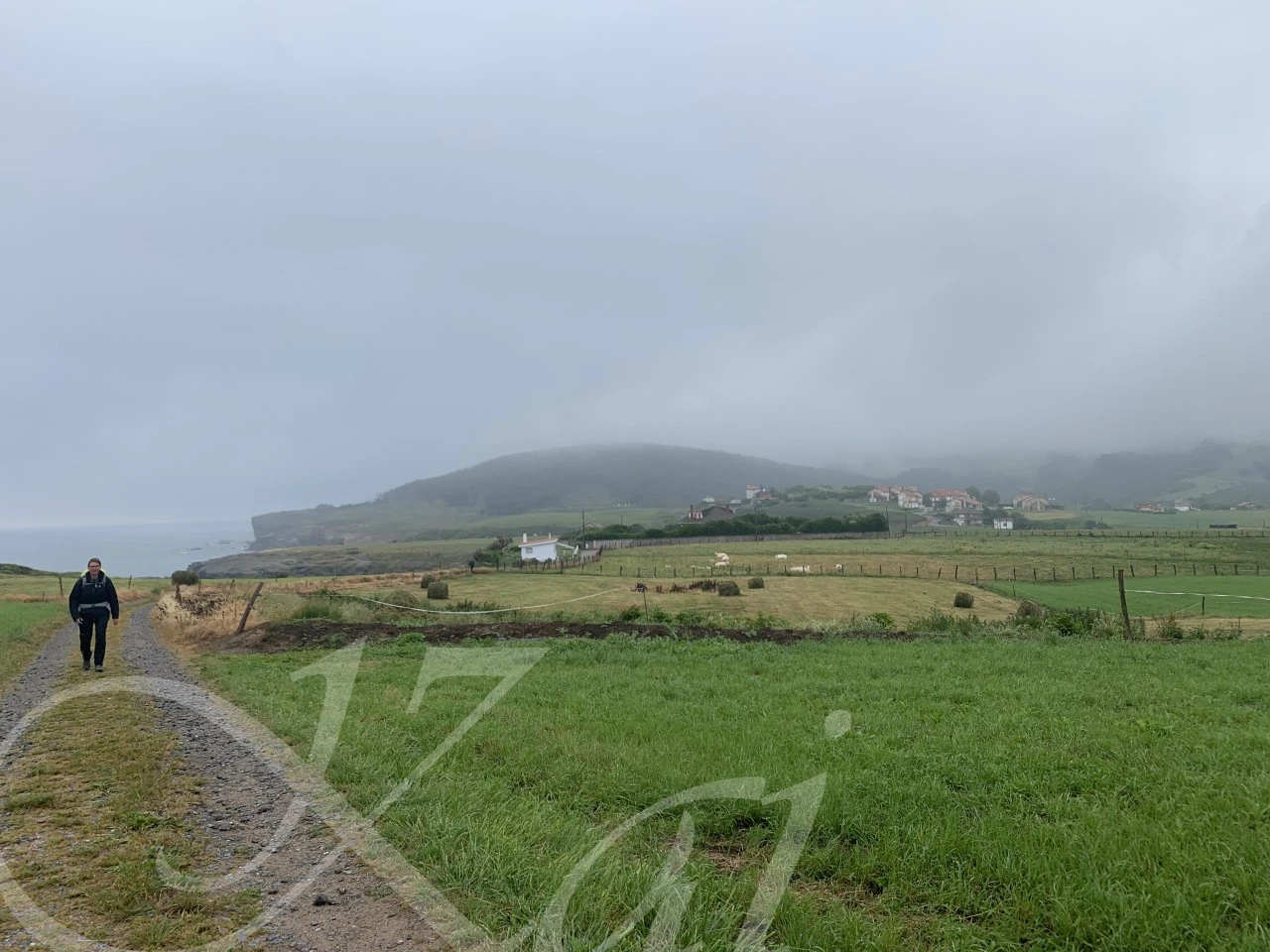 5_g26Ud018svc1ty9kl1vy7848_wocx9r.png?type=e1920_std