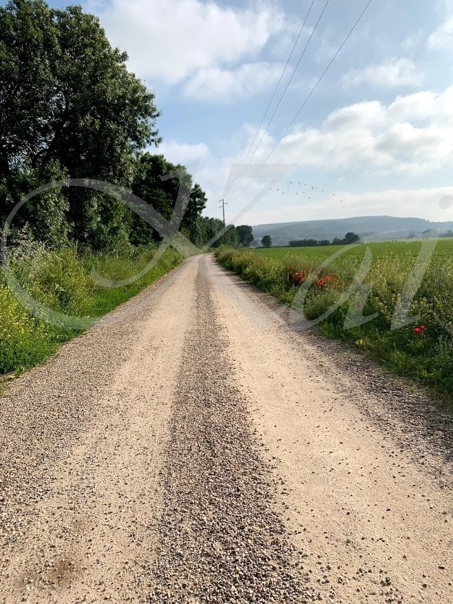 j_004Ud018svc9xf6iyopqoed_wocx9r.jpg?type=e1920_std