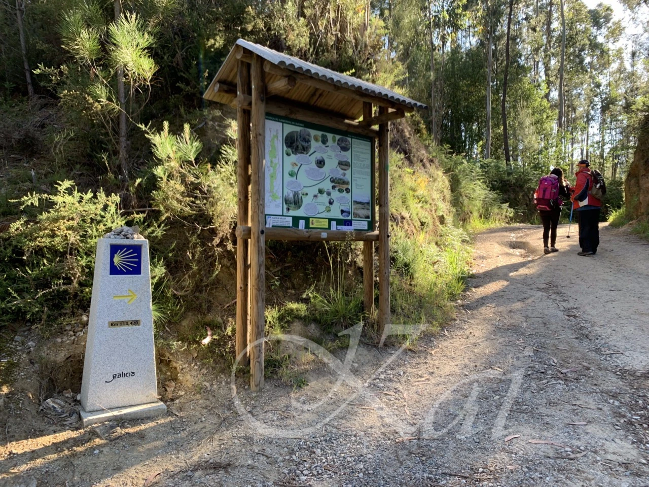 e_49cUd018svc14yxhnb4fm8rf_wocx9r.png?type=e1920_std