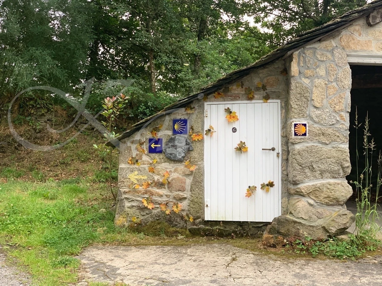 8_01iUd018svc6uvez7v9b92b_wocx9r.jpg?type=e1920_std