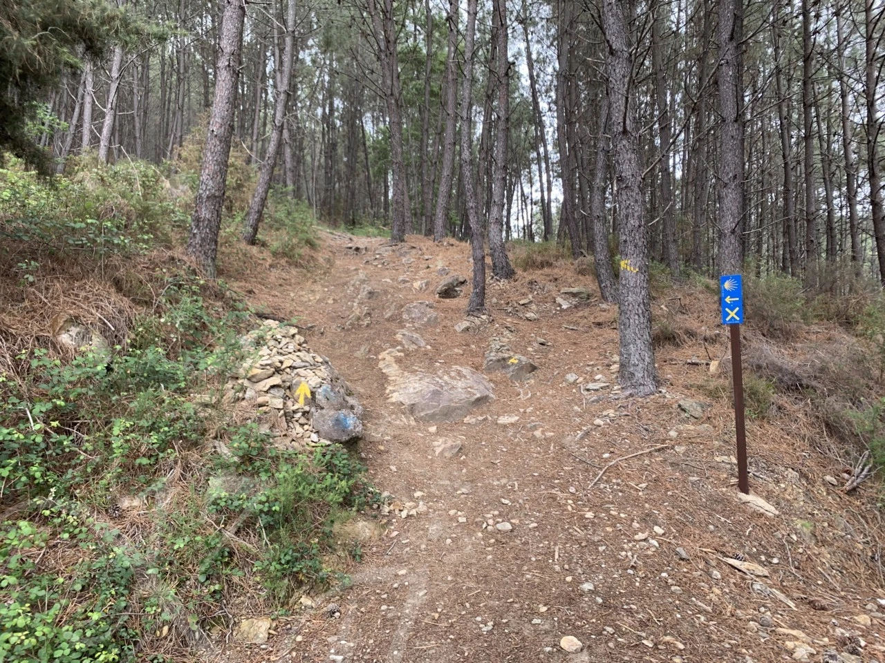 8_h59Ud018svc131hdqw8b1m7p_wocx9r.png?type=e1920_std