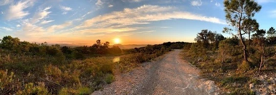 g_gi0Ud018svc79t5mei89ixf_wocx9r.jpg?type=e1920_std