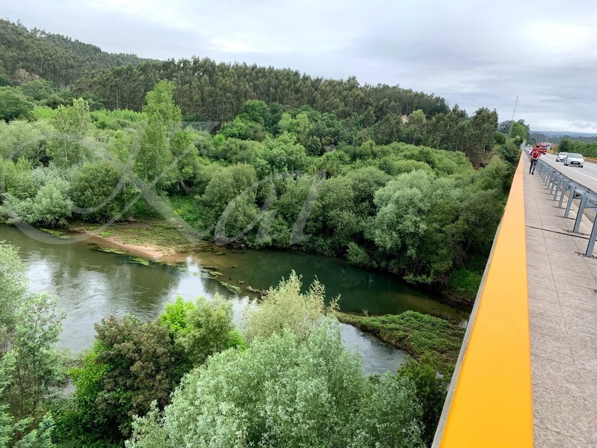 b_435Ud018svc14tex2fi7b39y_wocx9r.jpg?type=e1920_std